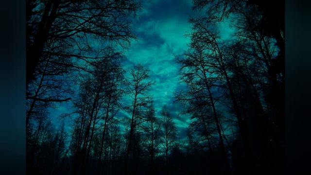 《 СТРАНА НЕВОЛИ 》《 Моя мысль -  палач 》Кальдерон  Музыкальная поэзия