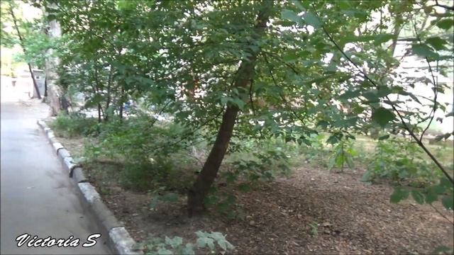 Херсон | ул. Мира, №26 и округа. Victoria S смотреть онлайн