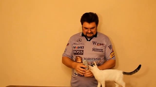 Лакомство для кошек смотреть онлайн