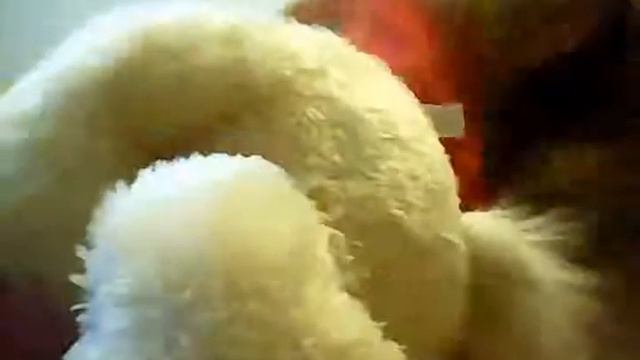 Я сошла с ума!)))