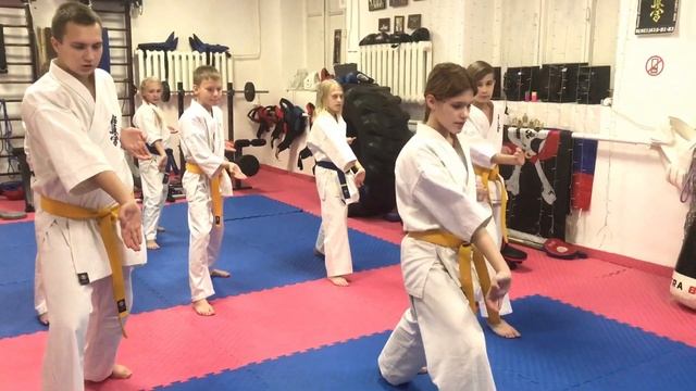 Связки произвольная форма - 5 кю жёлтый пояс с зелёной полоской