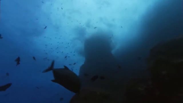 Море Океан смотреть онлайн