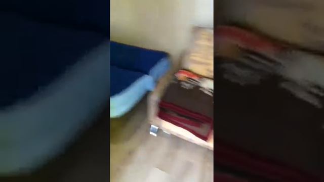 Домик номер 1 для отдыха у моря в Волченцах смотреть онлайн