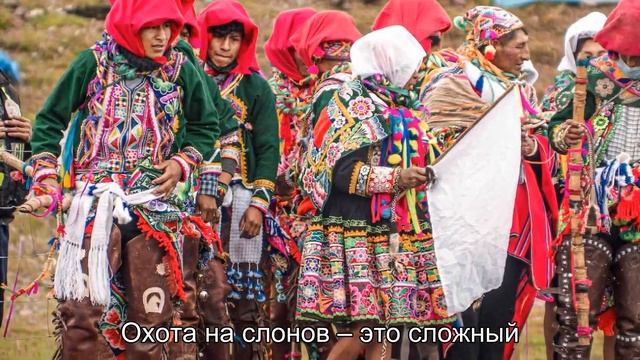 Племя, где мужчины шлифуют свои зубы до остроты. смотреть онлайн