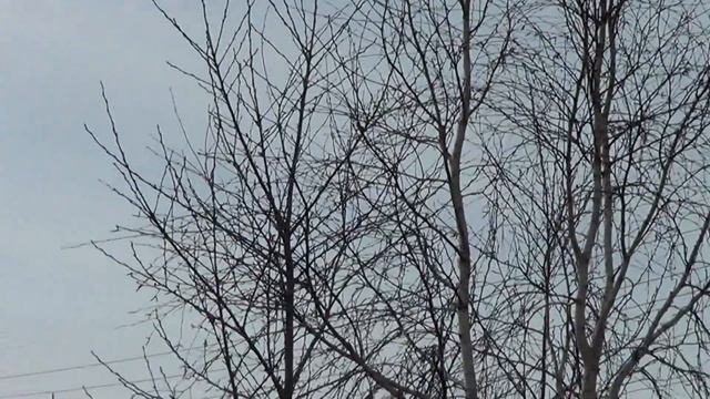 Погода в Нижнеудинске 22. 04. 2020. День рождение В. И. Ленина. смотреть онлайн