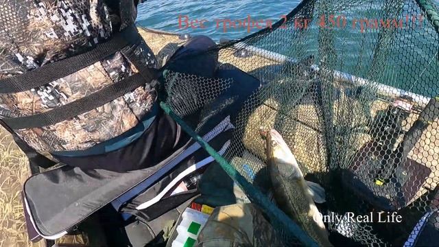 Ирикла в поисках Судака  Конец июня 2022 года