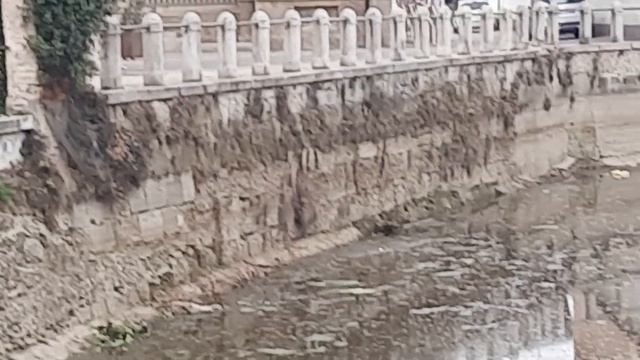 Странные непонятного назначения приростки у канала нашего гения Лео и огромная базилика в деревне смотреть онлайн