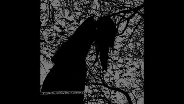 Stielas Storhett - Sic Itur Ad Atra