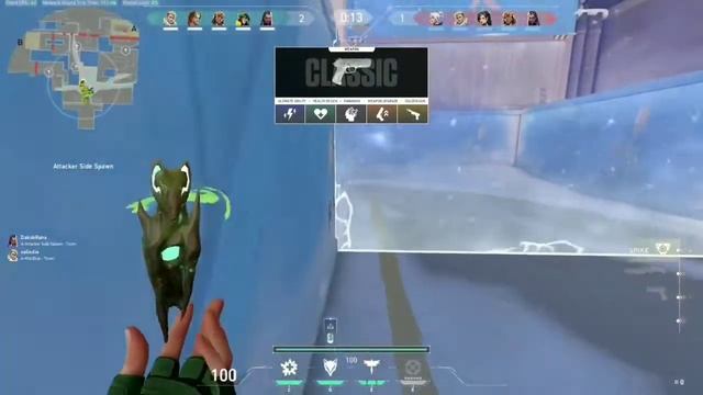 VALORANT NEW AGENT LEAKED||Player of valorant organization||play With agent skye смотреть онлайн