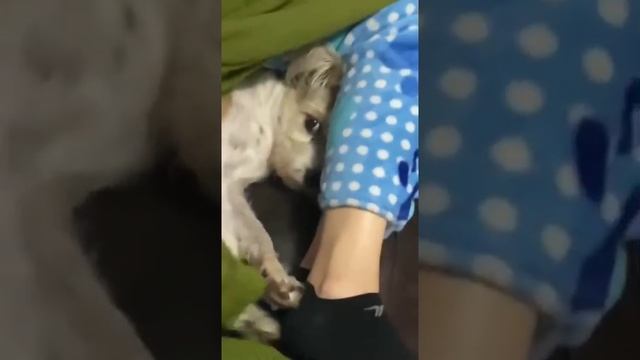 Кто там смотреть онлайн