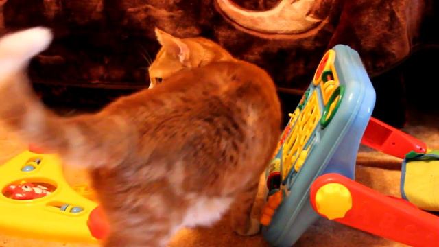 Рыжик и развивающий столик (Red cat plays with baby toy) смотреть онлайн