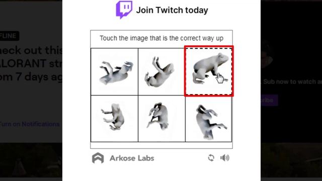 Touch The Image That is The Correct Way Up | Roblox Verification смотреть онлайн