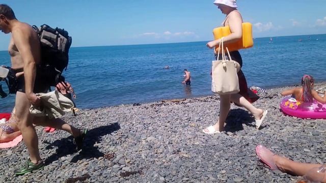 Анапа. СУККО. Почему собаки на пляже без намордников? Где полиция, законы....? 27.07.2022 г. смотреть онлайн