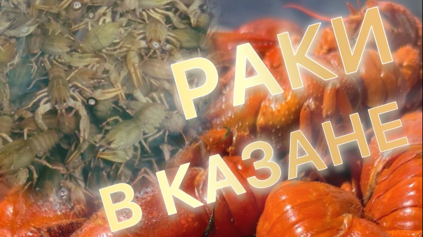 Раки в казане на костре. Самая вкусная варка!