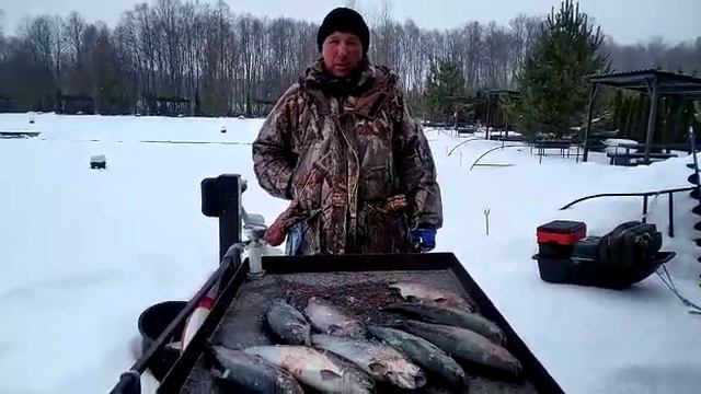 Форелевой улов на безлимите в Прудцах. смотреть онлайн