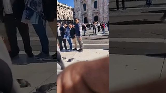 Pigeons in front of cathedral Piazza Del Duomo Milan Italy / Milan Tour / Best thing to do in Milan смотреть онлайн