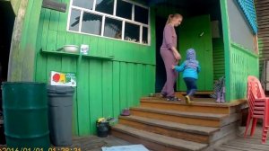 Влог. Взвешивали живность, у кошки столбняк! ))