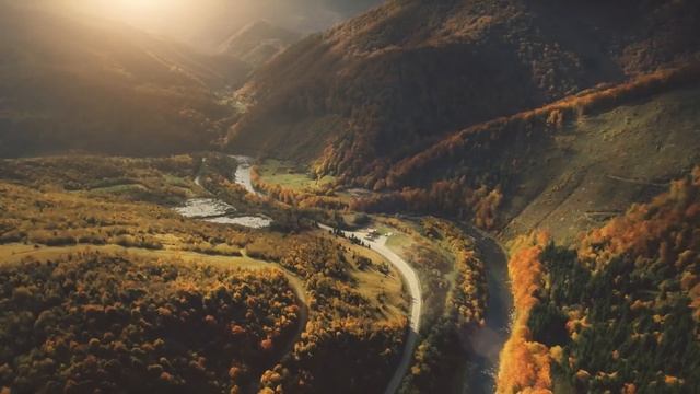 Маленькая девочка вмиг стала СЕДОЙ от увиденного в том лесу... смотреть онлайн