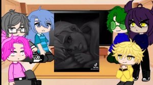 реакция 13карт на игру "Зайчик"