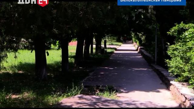 Выпуск информационной программы "Белокалитвинская панорама" от 25.05.2023 г. смотреть онлайн