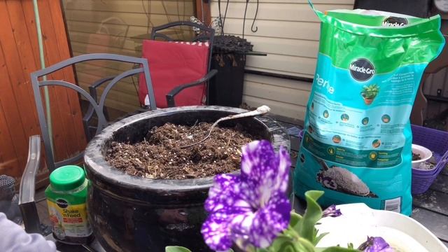 HOW TO FIX Transplant Shock IN PLANTS. SCIENCE BEHIND PREVENTION ?? | Gardening in Canada смотреть онлайн