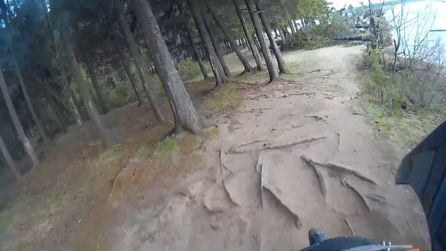 Медленно по лесу на Honda Africa Twin