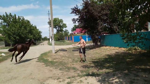 КАКАРДА смотреть онлайн