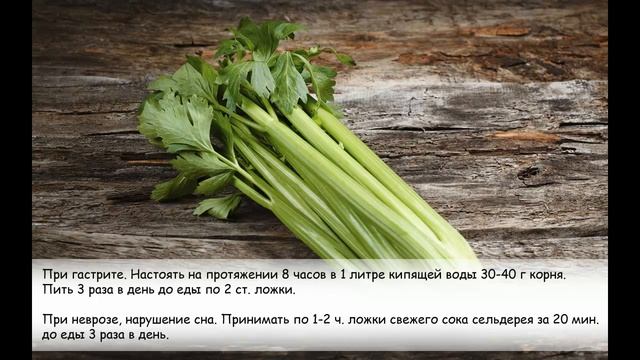 Сельдерей. Сельдерей в народной медицине. 6 рецептов. смотреть онлайн