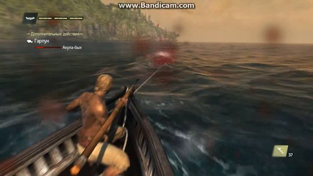 Охота с гарпуном на акулу быка в assassin's creed 4 black flag. смотреть онлайн