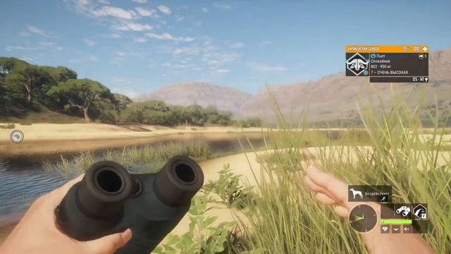 TheHunter Call of the Wild - Буйволы - ОПАСНАЯ ОХОТА - Саванна смотреть онлайн