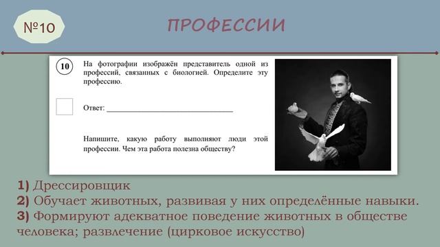 ВПР биология № 10 (5 класс) смотреть онлайн