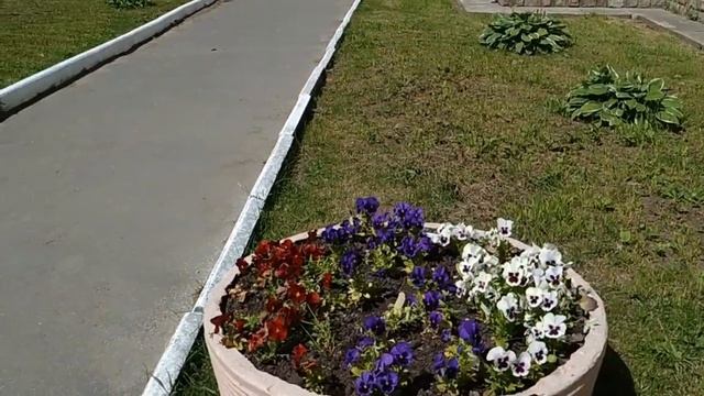 стратегический обьект в г. Пушкин, Царское село смотреть онлайн