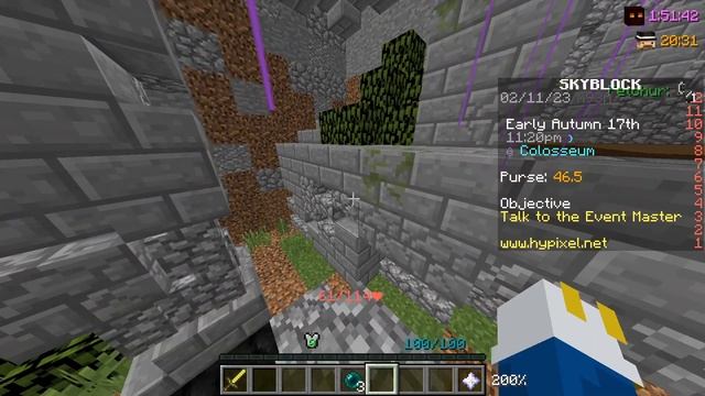 Hypixel Skyblock Hub Fairy Souls Speedrun 2023 (46:37) смотреть онлайн