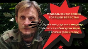 Безопасность при встрече с дикими животными