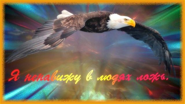 Sena Ehrhardt - Last Chance стихи Андрея Дементьева