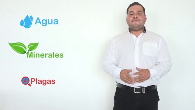 ¿Qué es TSA? смотреть онлайн