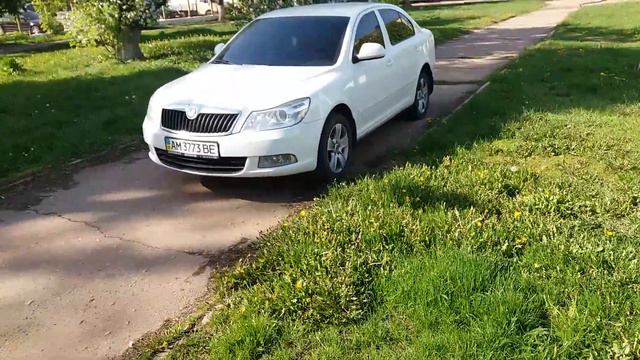 "Мастера" парковки в Житомире! смотреть онлайн