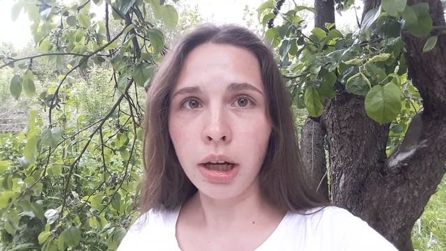 «Зимний вечер» А.С. Пушкина на финском языке смотреть онлайн