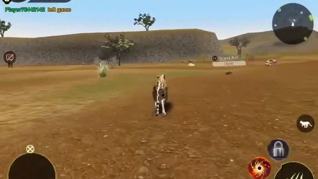 Обзор игры the cheetah + акк смотреть онлайн