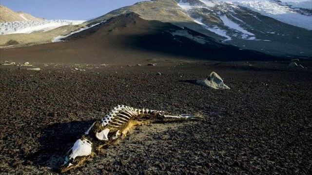 самые необычные места на земле смотреть онлайн