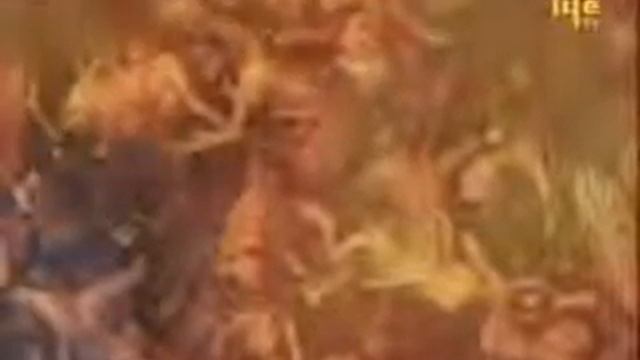 Рай и Ад ДОКАЗАТЕЛЬСТВА смотреть онлайн