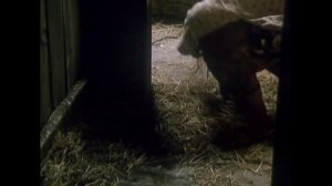 Макар следопыт 1984  Бой красных с белыми у реки