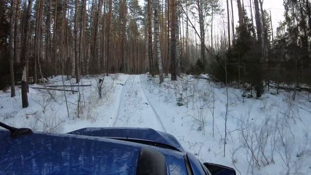 GoPro 7 Black. Утро. Лес. 2.7K/50 смотреть онлайн