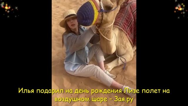 Илья Авербух устроил сюрприз жене на день рождения, а Лиза Арзамасова попросила верблюда на дачу смотреть онлайн