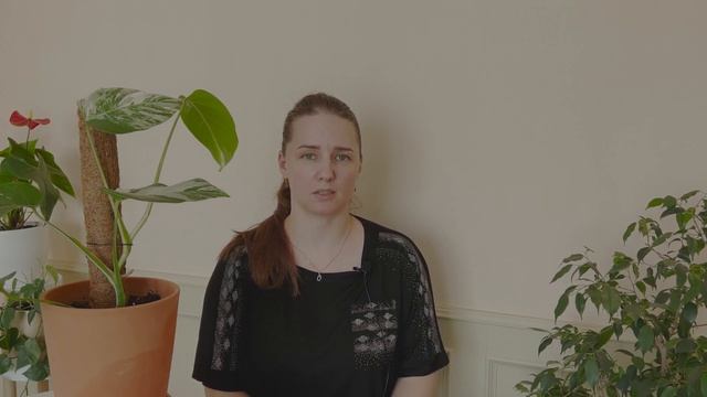 №49. Монстера. Какой нужен уход за растением, чтобы листья не желтели. смотреть онлайн