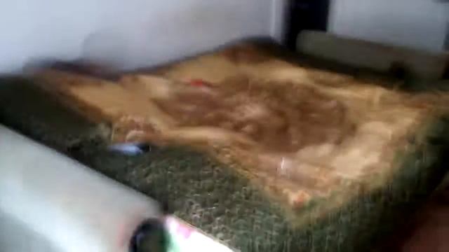 Когда к бабушке на лето приехали внуки смотреть онлайн