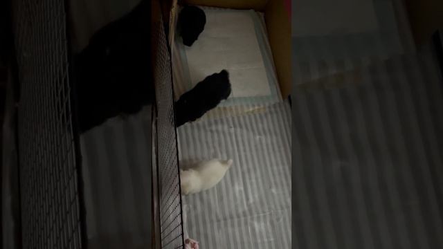 В Одессе блэкаут, но жизнь продолжается) смотреть онлайн