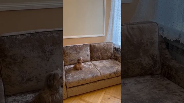 Фабрика Аргос отзы покупателя смотреть онлайн