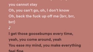 Travis Scott - goosebumps (Lyrics) ft. Kendrick Lamar