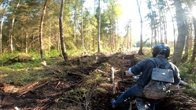 Покатушки на питбайках по лесу